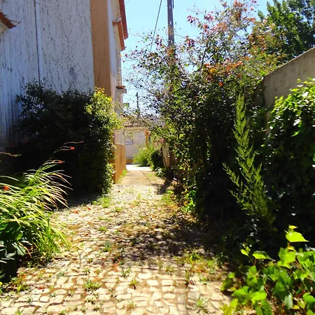 Vermelho Estilo Moderno *